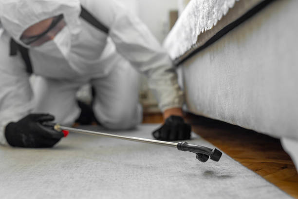 Professional Termite Control technician working in Buffalo County County, WI